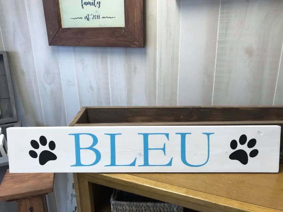 3/08/2026 Sunday 11am-  All Things Pets Workshop!! ($37+)