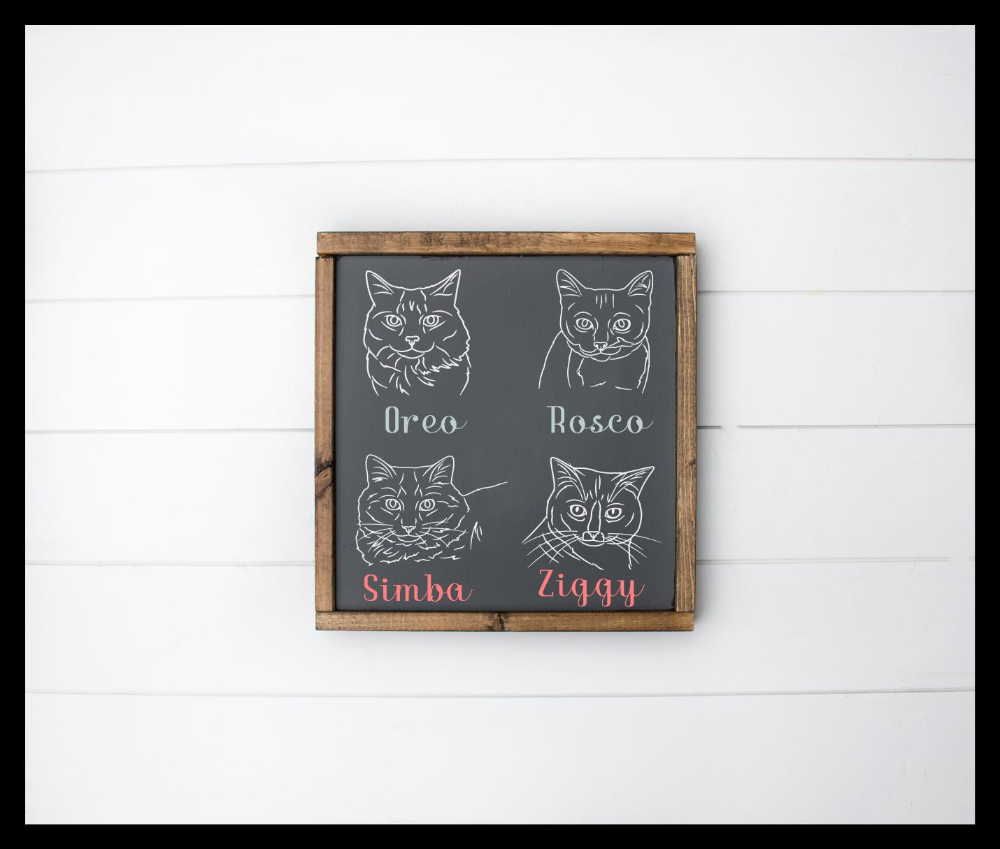 3/08/2026 Sunday 11am-  All Things Pets Workshop!! ($37+)