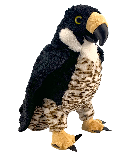 Hammer & Friends Home Kits