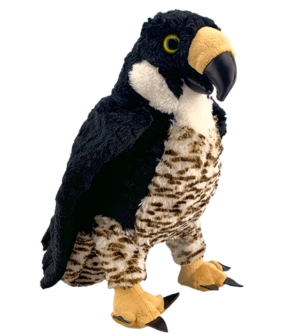 Hammer & Friends Home Kits