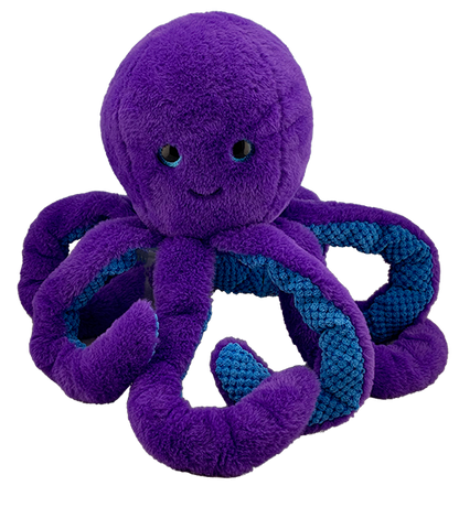 Hammer & Friends Home Kits