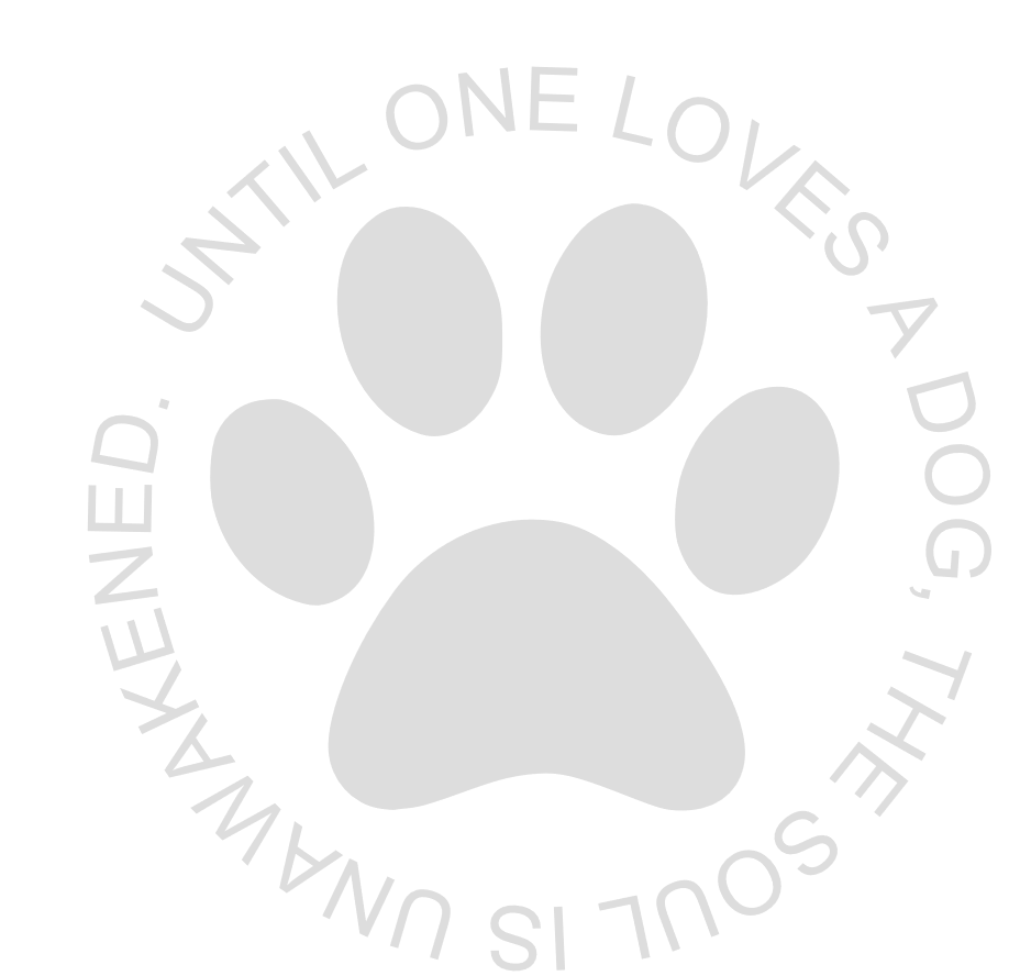 3/08/2026 Sunday 11am-  All Things Pets Workshop!! ($37+)