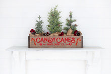 12/09/2023 Saturday 1pm - Celebrating the Holidays with Michele(+$37)